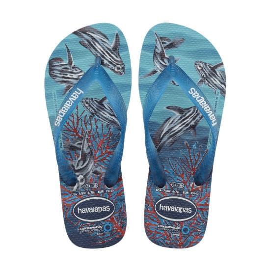 Imagem de Sandálias havaianas masculina conservação internacional branco/azul 35/36